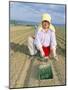 Planting Onions, Hokkaido, Japan-Gavin Hellier-Mounted Photographic Print