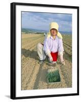 Planting Onions, Hokkaido, Japan-Gavin Hellier-Framed Photographic Print