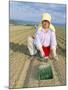 Planting Onions, Hokkaido, Japan-Gavin Hellier-Mounted Photographic Print