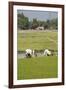 Planting Rice, Vientiane, Laos-Robert Harding-Framed Photographic Print