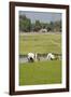 Planting Rice, Vientiane, Laos-Robert Harding-Framed Photographic Print