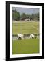 Planting Rice, Vientiane, Laos-Robert Harding-Framed Photographic Print