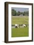 Planting Rice, Vientiane, Laos-Robert Harding-Framed Photographic Print