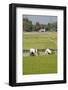 Planting Rice, Vientiane, Laos-Robert Harding-Framed Photographic Print