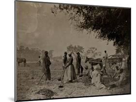 Planting Sweet Potatoes, Hopkinson's Plantation, Edislo Island, South Carolina, 1862-H.P. Moore-Mounted Giclee Print