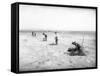 Planting Trees Near Grandview, WA, 1911-Ashael Curtis-Framed Stretched Canvas