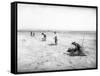 Planting Trees Near Grandview, WA, 1911-Ashael Curtis-Framed Stretched Canvas