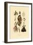 Plants, 1833-39-null-Framed Giclee Print