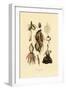 Plants, 1833-39-null-Framed Giclee Print