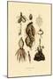 Plants, 1833-39-null-Mounted Giclee Print