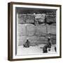 Plants and Animals Brought from Syria by the Pharaohs, Temple of Karnak, Egypt, 1905-Underwood & Underwood-Framed Photographic Print