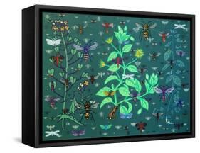 Plants and Bugs,2013-John Dilnot-Framed Stretched Canvas