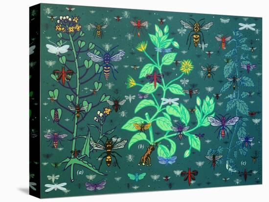 Plants and Bugs,2013-John Dilnot-Stretched Canvas