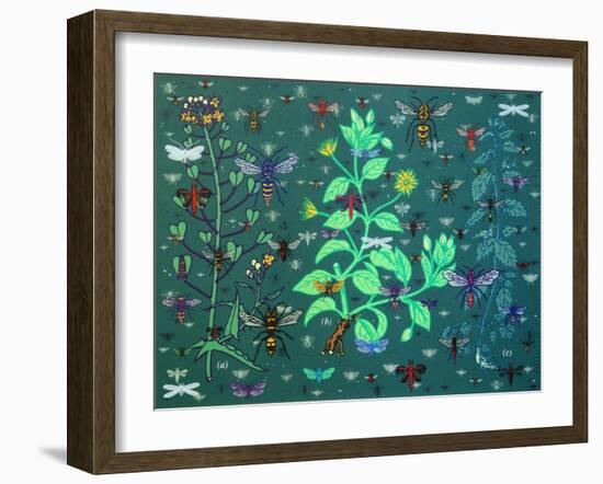 Plants and Bugs,2013-John Dilnot-Framed Giclee Print