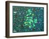 Plants and Bugs,2013-John Dilnot-Framed Giclee Print