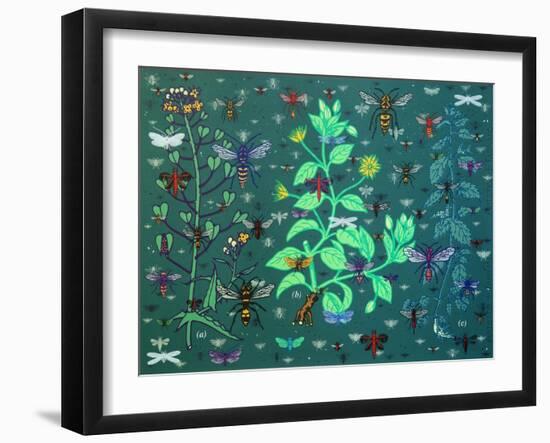 Plants and Bugs,2013-John Dilnot-Framed Giclee Print