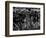 Plants and Lava, Hawaii, 1980-Brett Weston-Framed Photographic Print