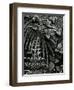 Plants and Leaves, Hawaii, c. 1985-Brett Weston-Framed Premium Photographic Print