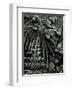 Plants and Leaves, Hawaii, c. 1985-Brett Weston-Framed Premium Photographic Print