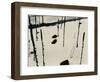 Plants and Snow, Nevada, 1953-Brett Weston-Framed Photographic Print