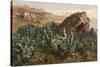 Plants, Cactus, Mexico-Ernst Heyn-Stretched Canvas