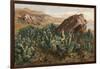 Plants, Cactus, Mexico-Ernst Heyn-Framed Art Print