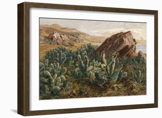 Plants, Cactus, Mexico-Ernst Heyn-Framed Art Print