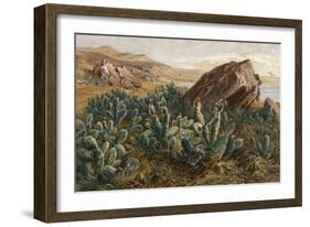 Plants, Cactus, Mexico-Ernst Heyn-Framed Art Print