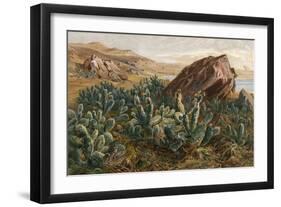 Plants, Cactus, Mexico-Ernst Heyn-Framed Art Print