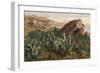 Plants, Cactus, Mexico-Ernst Heyn-Framed Art Print