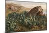 Plants, Cactus, Mexico-Ernst Heyn-Mounted Art Print