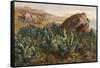 Plants, Cactus, Mexico-Ernst Heyn-Framed Stretched Canvas