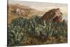 Plants, Cactus, Mexico-Ernst Heyn-Stretched Canvas