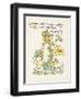 Plants, Caltha Palustris-Walter Crane-Framed Art Print