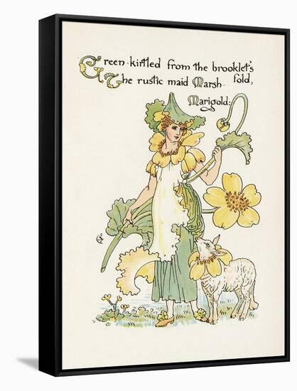 Plants, Caltha Palustris-Walter Crane-Framed Stretched Canvas