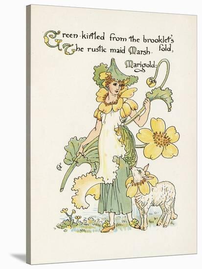 Plants, Caltha Palustris-Walter Crane-Stretched Canvas