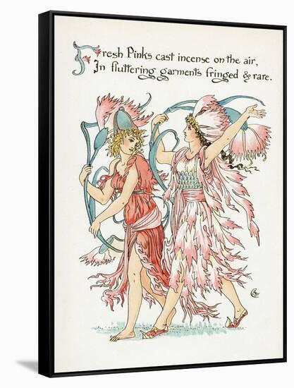 Plants, Dianthus Species-Walter Crane-Framed Stretched Canvas