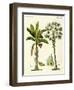 Plants from Hot Countries-null-Framed Giclee Print