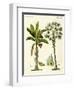 Plants from Hot Countries-null-Framed Giclee Print