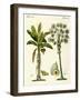 Plants from Hot Countries-null-Framed Giclee Print