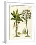 Plants from Hot Countries-null-Framed Giclee Print