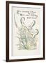Plants, Galanthus-Walter Crane-Framed Premium Giclee Print