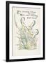 Plants, Galanthus-Walter Crane-Framed Premium Giclee Print