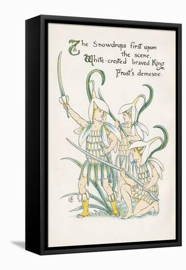 Plants, Galanthus-Walter Crane-Framed Stretched Canvas