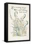 Plants, Galanthus-Walter Crane-Framed Stretched Canvas