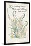 Plants, Galanthus-Walter Crane-Framed Art Print