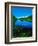 Plants growing at lakeshore, Oxbow Lake, New York State Route 28, Speculator, Hamilton County, N...-null-Framed Photographic Print