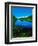 Plants growing at lakeshore, Oxbow Lake, New York State Route 28, Speculator, Hamilton County, N...-null-Framed Photographic Print