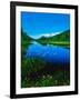 Plants growing at lakeshore, Oxbow Lake, New York State Route 28, Speculator, Hamilton County, N...-null-Framed Photographic Print