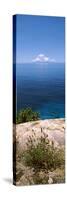 Plants Growing on the Rocks on North Island with Praslin Island in the Background, Seychelles-null-Stretched Canvas